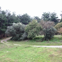 Townhouse in Greece, 167 sq.m.