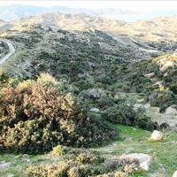 Земельный участок в Греции