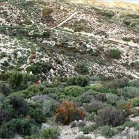 Земельный участок в Греции