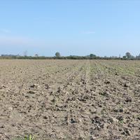 Земельный участок в Греции