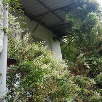 Другое в Греции, 90 кв.м.