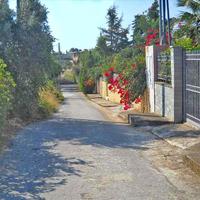 Other in Greece, 372 sq.m.