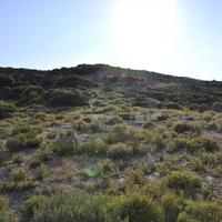 Земельный участок в Греции