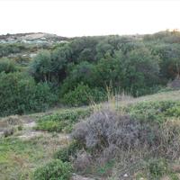 Земельный участок в Греции