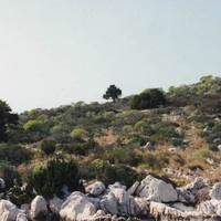 Island in Greece, 176000 sq.m.