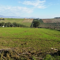 Land plot in Greece, 8194 sq.m.