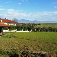 Land plot in Greece, 8194 sq.m.