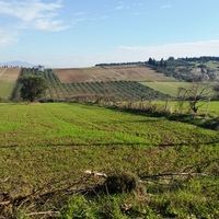 Land plot in Greece, 8194 sq.m.