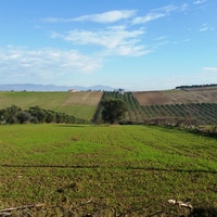 Land plot in Greece, 8194 sq.m.