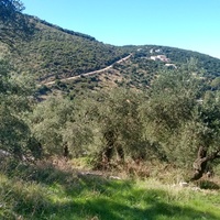 Land plot in Greece