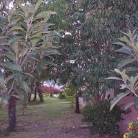 Другое в Греции, 272 кв.м.