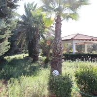 Other in Greece, 278 sq.m.