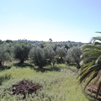 Other in Greece, 278 sq.m.