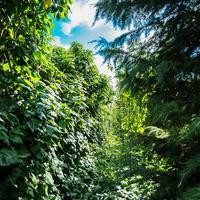 Villa in Greece, 750 sq.m.