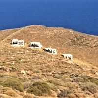 Other in Greece, 400 sq.m.