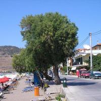 Отель (гостиница) в Греции, 1200 кв.м.