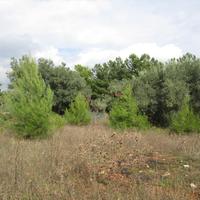 Land plot in Greece