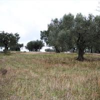 Land plot in Greece
