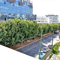 Business center in Greece, 140 sq.m.