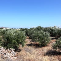 Land plot in Greece