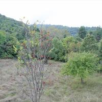 Другое в Греции, 171 кв.м.