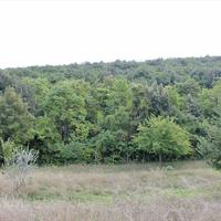 Другое в Греции, 171 кв.м.