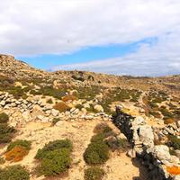 Земельный участок в Греции, 10000 кв.м.