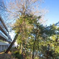 Таунхаус в Греции, 111 кв.м.