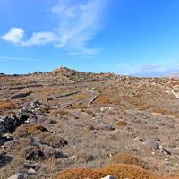 Земельный участок в Греции, 6250 кв.м.