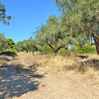 Land plot in Greece