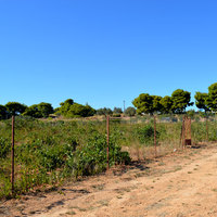 Land plot in Greece