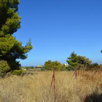 Land plot in Greece