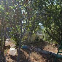 Other in Greece, 40 sq.m.