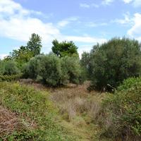 Land plot in Greece