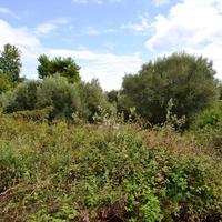 Land plot in Greece