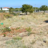 Land plot in Greece