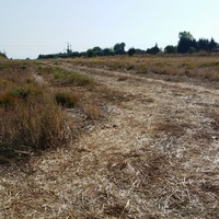 Land plot in Greece