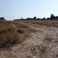Land plot in Greece