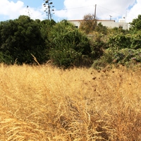 Other in Greece, 250 sq.m.