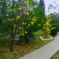 Other in Greece, 64 sq.m.