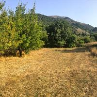 Земельный участок в Греции, 860 кв.м.