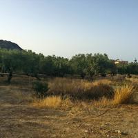Земельный участок в Греции, 2000 кв.м.