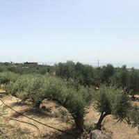 Земельный участок в Греции, 1000 кв.м.