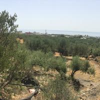 Земельный участок в Греции, 1000 кв.м.