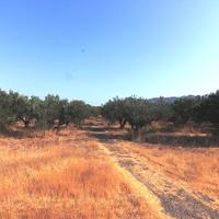 Land plot in Greece, 6400 sq.m.