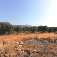 Land plot in Greece, 6400 sq.m.
