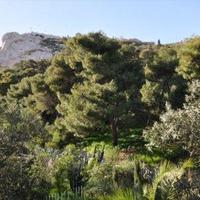 Вилла в Греции, 1381 кв.м.