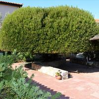 Другое в Греции, 90 кв.м.