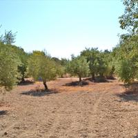 Land plot in Greece