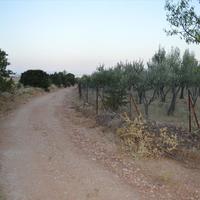 Land plot in Greece